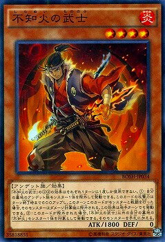 ͷ����OCG �ǥ奨���󥹥����� ���βФ���� BOSH BOSH-JP034 ����š�