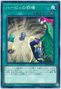 遊戯王OCG デュエルモンスターズ ハーピィの狩場 DP21 DP21-JP009 【中古】