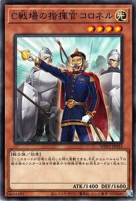 ͷ����OCG �ǥ奨���󥹥����� C���λش��� �����ͥ� WPP3 WPP3-JP033 ����š�