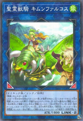 ͷOCG ǥ奨󥹥 õ ե륳 TW01 TW01-JP140 NP š