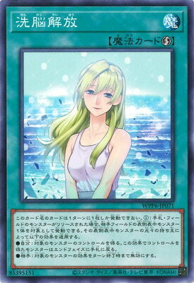 ͷ����OCG �ǥ奨���󥹥����� ��Ǿ���� WPP6 WPP6-JP071 ����š�