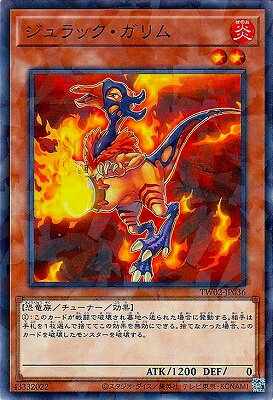 ͷ����OCG �ǥ奨���󥹥����� �����å�������� TW02 TW02-JP036 NP ����š�