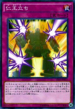 ͷOCG ǥ奨󥹥 βΩ SHVI SHVI-JP077 š