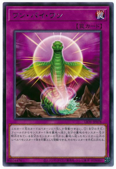 ͷOCG ǥ奨󥹥 󡦥Х LIOV LIOV-JP078 R š
