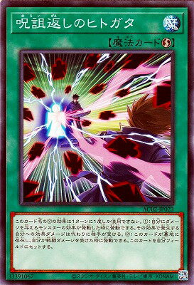 ͷOCG ǥ奨󥹥 ֤Υҥȥ AC02 AC02-JP023 š