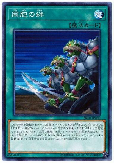 ͷOCG ǥ奨󥹥 Ʊ˦ SR10 SR10-JP030 š