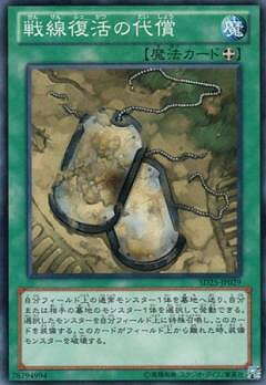 ͷ����OCG �ǥ奨���󥹥����� ������������ SD25 SD25-JP029 ����š�