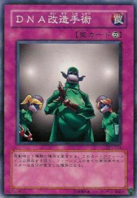 遊戯王OCG デュエルモンスターズ DNA改造手術 DL1 DL1-114 【中古】