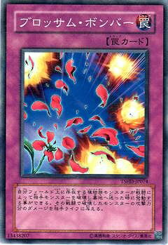 ͷ����OCG �ǥ奨���󥹥����� �֥��å��ࡦ�ܥ�С� TSHD TSHD-JP074 ����š�