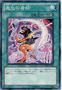 遊戯王OCG デュエルモンスターズ 進化の奇跡 PHSW PHSW-JP054 【中古】