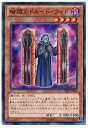 遊戯王OCG デュエルモンスターズ 暗躍のドルイド・ウィド SHSP SHSP-JP008 【中古】
