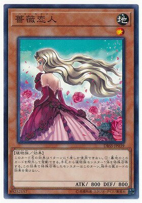 ͷOCG ǥ奨󥹥  DBSS DBSS-JP039 š