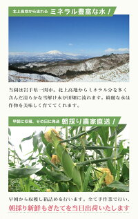 朝採り農家直送