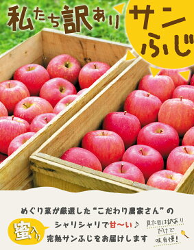 りんご 訳ありサンふじ 3kg 蜜入り 林檎 ご家庭用 送料無料 岩手 完熟 お歳暮
