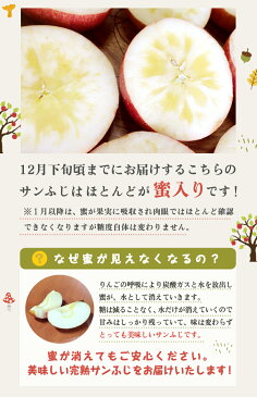 りんご 訳ありサンふじ 3kg 蜜入り 林檎 ご家庭用 送料無料 岩手 完熟 お歳暮