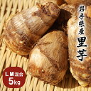 里芋 いわての里芋 5kg L・M混合 さといも 土垂 岩手 送料無料 減農薬