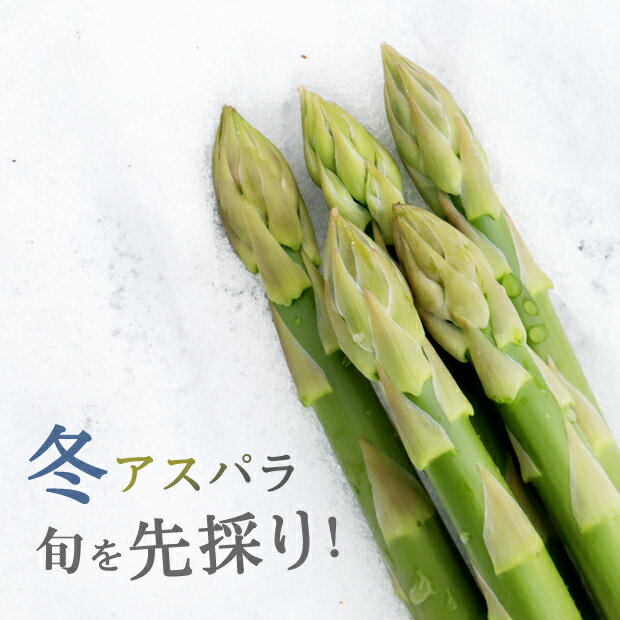 【発送中！】春アスパラ1kg