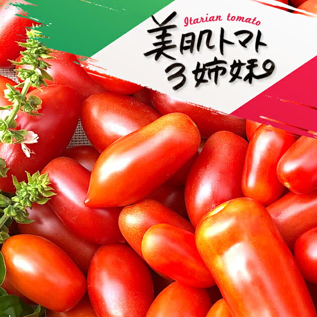 加熱で倍うまい！イタリアントマト　2kg　ミニトマト　イタリアントマト　加熱用トマト　調理用トマト　とまと めぐり菜　トマトのサムネイル