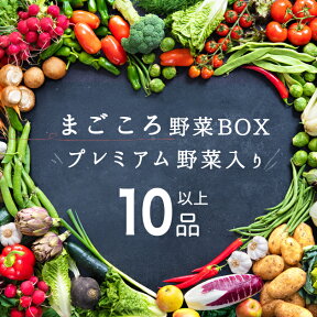 新鮮！野菜セット 卵含む計10品以上 一関野菜　おおまち新鮮館　産地直送　岩手　おうちごはん