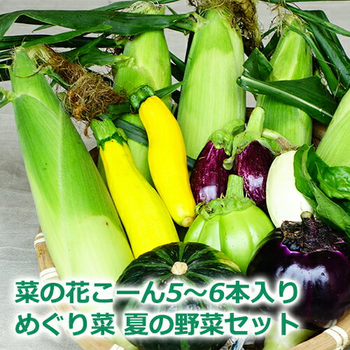 菜の花こーんとプレミアム野菜セット（菜の花こーん2L5本～L6本が必ず入る＆フルーツパプリカ、とろナス、イタリアントマト、プチぷよ、甘しし唐、カボチャ、ズッキーニの中から2種～4種）