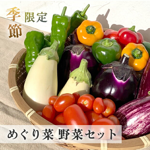 季節限定！めぐり菜 秋野菜セット（フルーツパプリカ、とろナス、ゼブラナス、フィレンツェナス、イタリアントマト、甘しし唐、菜の花こーん、他一関産野菜などから5~7品目）