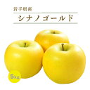 岩手産完熟りんご シナノゴールド訳あり 5kg 11玉〜23玉 めぐり菜 送料無料 林檎　リンゴ　M 岩手