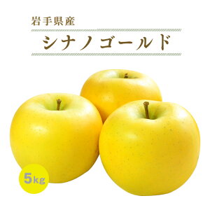 岩手産完熟りんご シナノゴールド訳あり 5kg 11玉〜23玉 めぐり菜 送料無料 林檎　リンゴ　M