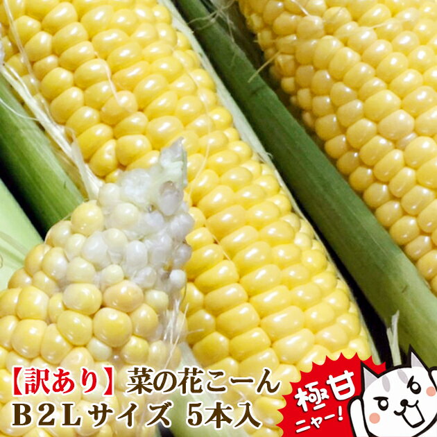 　名称　　とうもろこし 菜の花コーン　 　産地　　岩手県一関市大東町産　　　 　品種　　おおもの　 　産年　　令和6年産　 　内容量　　 5本　 　規格　　 B2L　ご家庭用 保存方法 とうもろこしは鮮度が落ちるのが早いので、到着後すぐに茹で1本ずつラップで包み冷蔵庫で保存。2〜3日保存可能です。生で保存する場合は、皮つきのまま20〜30分氷水につけた後、濡れ新聞をかぶせてビニール袋に入れる。冷蔵庫で、立てて保存します。横にすると、とうもろこしがストレスを感じ、糖分の減少が激しいです。常温で保存すると、すぐに固くなって甘みが少なくなりますのでご注意ください。こちらのランキングは8本〜10本入りのランキングです。