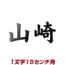 1文字価格 看板にもおすすめ！漢字バラ文字ステンレス表札 stl3-150k 15cm角 エッジが際立つレーザーカット加工 書体・カラーが選べるオーダーメイド ひょうさつ