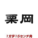 1文字価格 漢字バラ文字ステンレス表札 stl3-150k 15cm角 アイアン表札の進化型 シャープな仕上がりのレーザー加工表札(ひょうさつ) 事務所の看板にもおすすめ