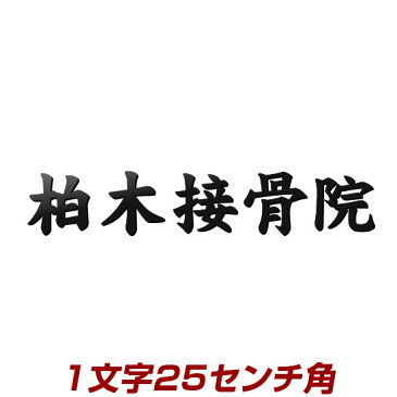 1文字価格 250mm角 ステンレスレーザーカット看板 stl3-250k フォント・カラーが選べる漢字タイプのオーダーメイド表札通販 ひょうさつ アイアン表札の進化型