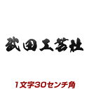 1文字価格 アイアン表札テイストのステンレス表札看板(30cm角・漢字) stl3-300k 文字色、書体が選べるこだわりネームプレート ひょうさつ 高級感たっぷりです！