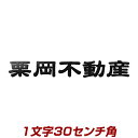 1文字価格 イチ押し！漢字バラ文字ステンレス表札看板 stl3-300k 30cm角 強くて美しい自動車用塗料仕上げ 会社・事務所・教室・店舗・ショップの開業に！かんばん