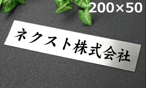 ステンレス表札stt20050 代引不可 送料込 イメージ送信無 黒文字着色 ポスト投函限定 ステンレスプレート表札看板 姓名 苗字 会社名 フォント限定