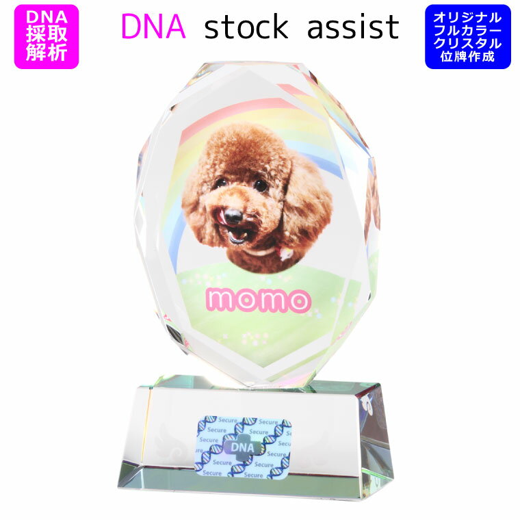 ペット 位牌 クリスタル 【DNA stock assist】虹のかけ橋 ホログラム入り 【 大切なあの子のDNAを保存 】DNA 保存 【 いのちを残す 】フルカラープリントサービス 写真彫刻 犬 猫 お供え ペット位牌 メモリアル 思い出 ギフト ペット仏具 記念碑 形見