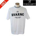 バーニヴァーノ/BARNIVARNO サガラ刺繍半袖Tシャツ LLサイズ 037-白(4)