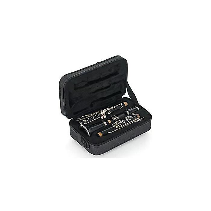 GATOR ( ゲイター ) / GL-CLARINET-A 軽量クラリネットケース