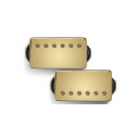Bare Knuckle Pickups ( ベアナックルピックアップス ) / Ragnarok Set Gold/Gold Screws 50mm夏休みセー...