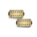 Bare Knuckle Pickups ( ベアナックルピックアップス ) / Aftermath Set Gold Tyger 53mm夏休みセール