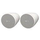 BOSE ( ボーズ ) / FreeSpace FS2PW ペンダント型スピーカー夏休みセール