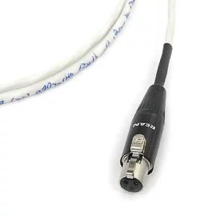 BELDEN ( �٥�ǥ� ) / 82761 (��) [Ĺ��]5.0m[��¦�ץ饰]L���ߥ˥��ƥ쥪�ץ饰[��¦�ץ饰]�ߥ�XLR�᥹�� / �إåɥۥ��ѥ����֥�Х�󥿥��� ������