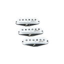 SEYMOUR DUNCAN ( セイモアダンカン ) / JIMI HENDRIX SIGNATURE STRAT- SET夏休みセール