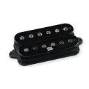 SEYMOUR DUNCAN ( セイモアダンカン ) / DUALITY NECK BLACK夏休みセール