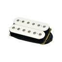 DIMARZIO ( ディマジオ ) / DP255 WHITE Transition Bridge夏休みセール
