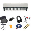 8大特典付 【野外演奏対応セット(CUBE-STEX)】Korg(コルグ) / GS-X_CUBE-STEX_XVP-20Op9_set夏休みセール