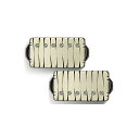 Bare Knuckle Pickups ( ベアナックルピックアップス ) / Nailbomb AlnicoV Set Tyger 50mm夏休みセール