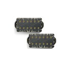 Bare Knuckle Pickups ( ベアナックルピックアップス ) / Warpig AlnicoV Set Black Battleworn/Gol...
