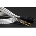 Vital Audio(バイタルオーディオ) / ペア XLR-M(オス) / TRS 【VAB Pair-0.5m 3MX / 3P (TRS) VBP0.5M3P】 ラインインプット用 ケーブル【1月21日発売】お中元 セール(2)