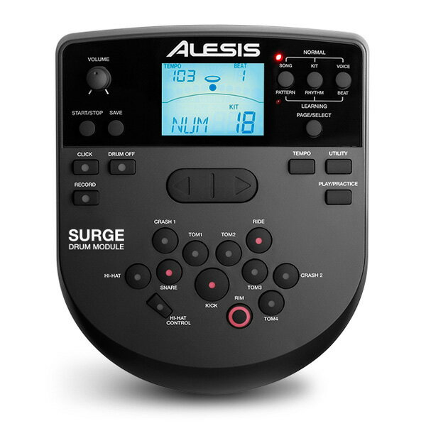 9大特典付 【初心者入門セット】ALESIS(アレシス) / Surge Mesh Special Edition 電子ドラム エレドラ 【マット付き自宅練習】クリスマス セール 2