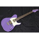 【地域限定販売・新品】SCHECTER(シェクター) / KR-24-2H-FXD-MH VP/R エレキギター【東海エリア2本】新生活応援